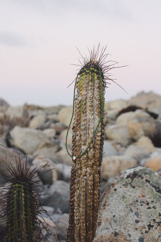 Collar Cactus verde