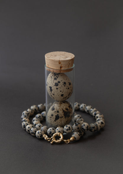 Collar jaspe dalmata