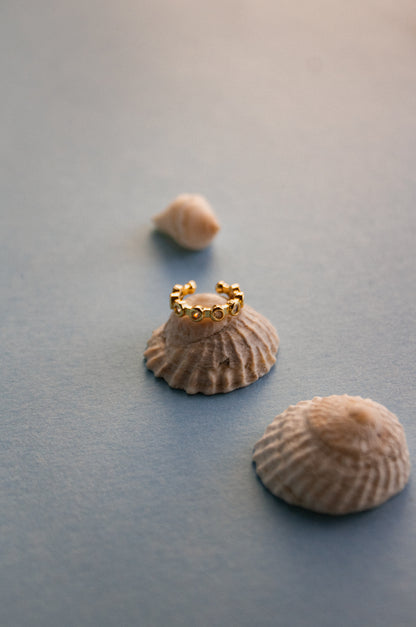 Earcuff Brillos
