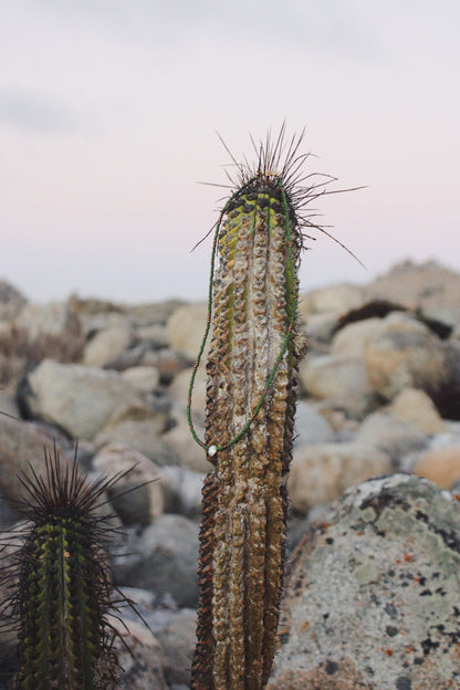 Collar Cactus verde