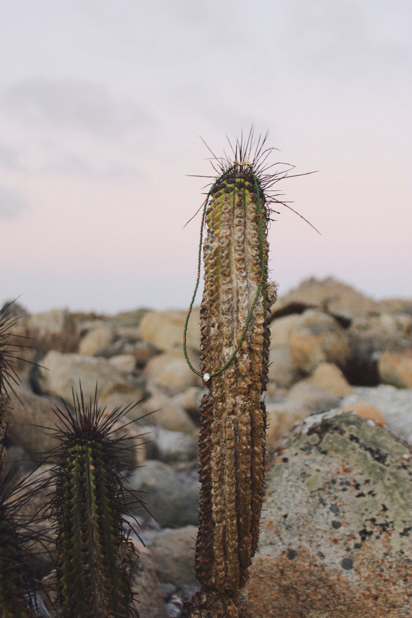 Collar Cactus verde