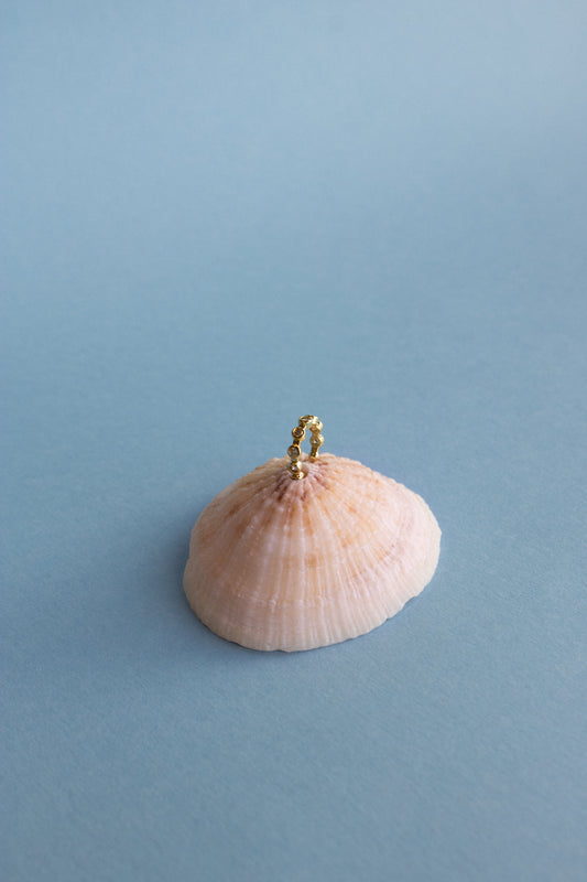 Earcuff Brillos
