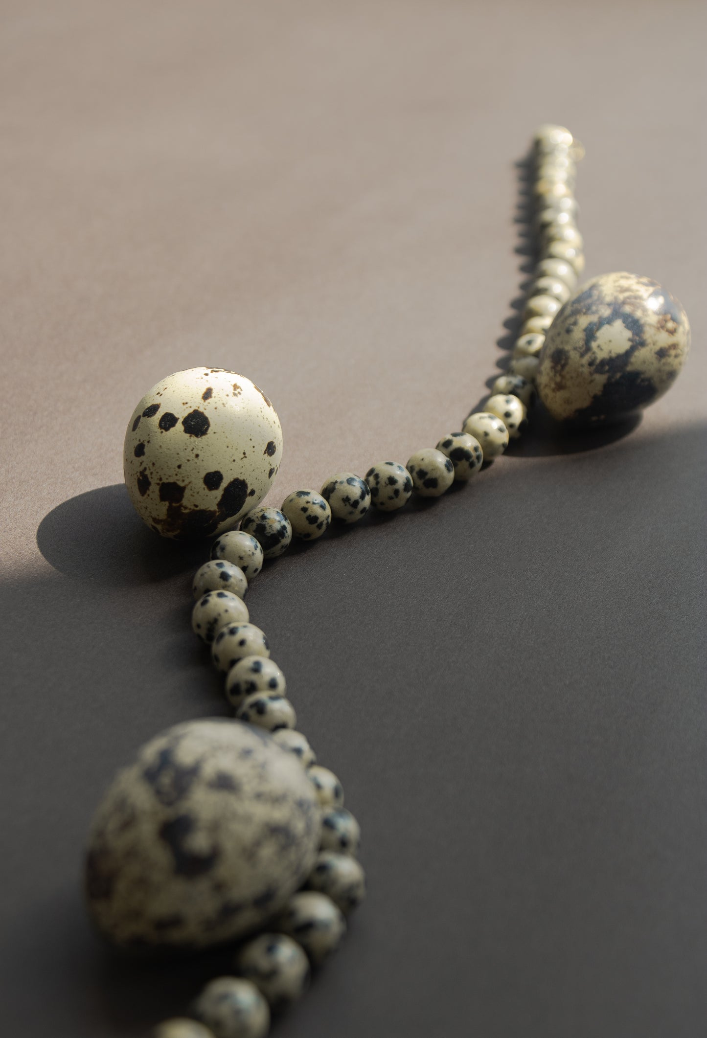Collar jaspe dalmata